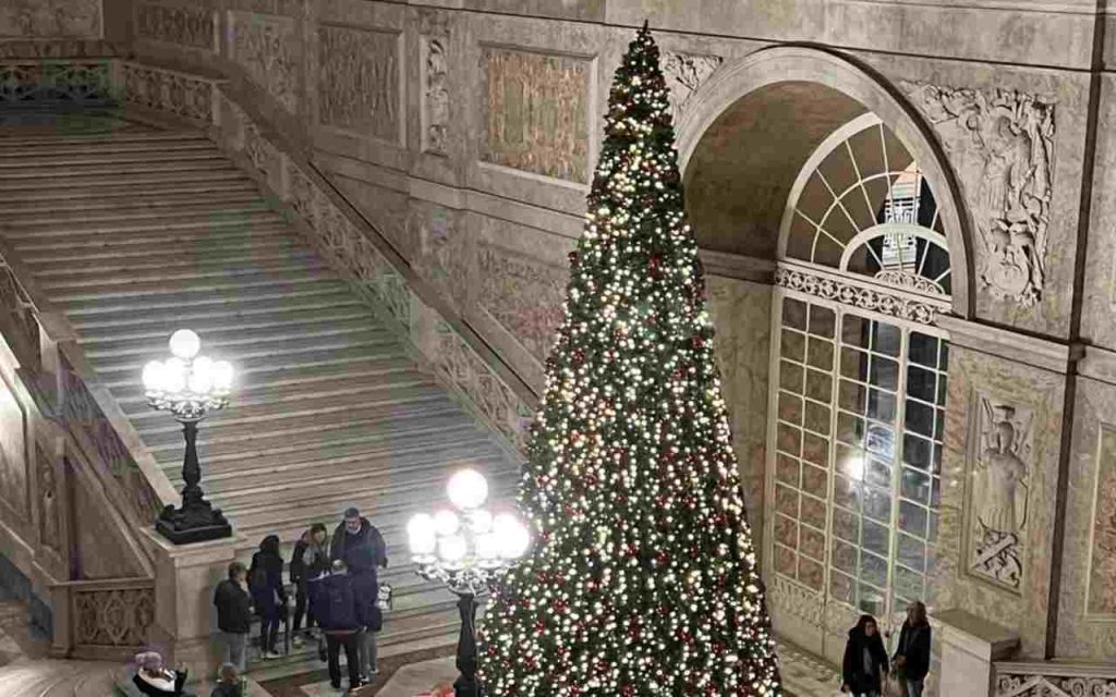 Una foto dell'albero posto nei pressi di Palazzo reale (Il Mattino)